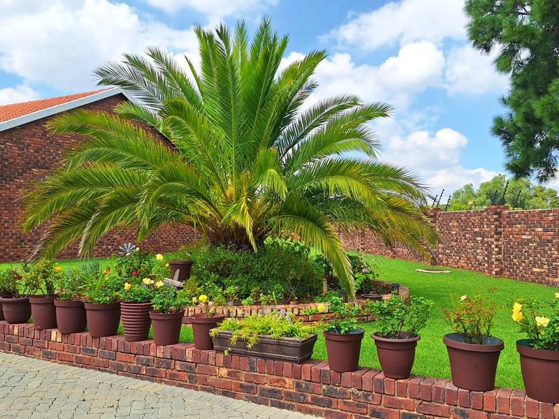 A well-maintained front garden featuring a large palm tree, brick boundary walls with electric fencing, and a paved driveway.
