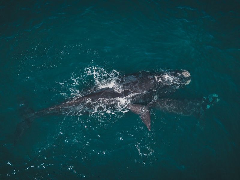 Shelley Point Estate - Sea Facing vacant land - Photo 10