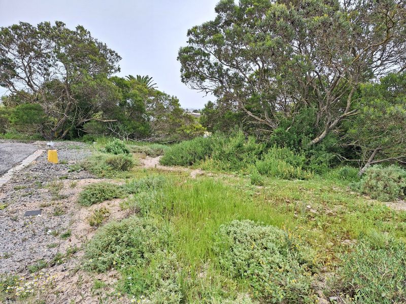 VACANT LAND FOR SALE - SHELLEY POINT – ST HELENA BAY – CAPE WEST COAST - Photo 5