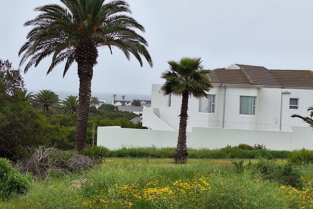 A view of a residential property featuring established palm trees, a white boundary wall, and a tiled roof set against a coastal landscape.