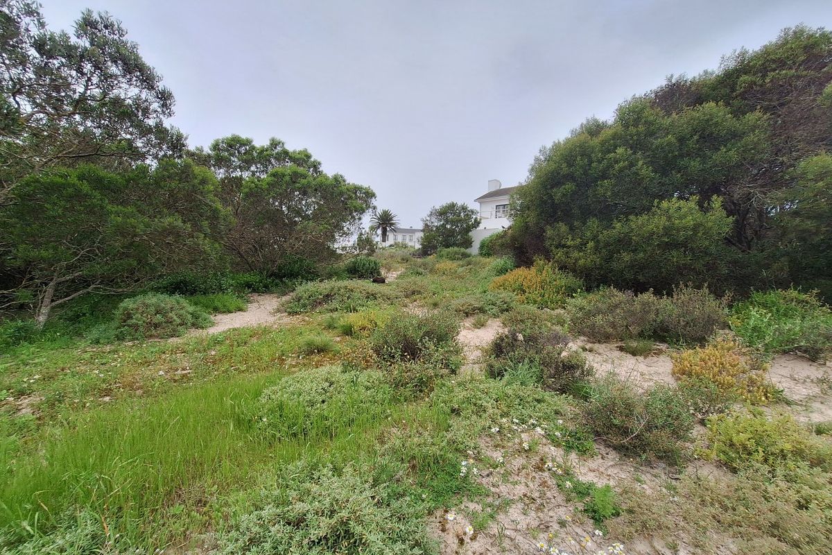 A view of a natural, undeveloped residential plot featuring native coastal vegetation, sandy terrain, and mature trees.