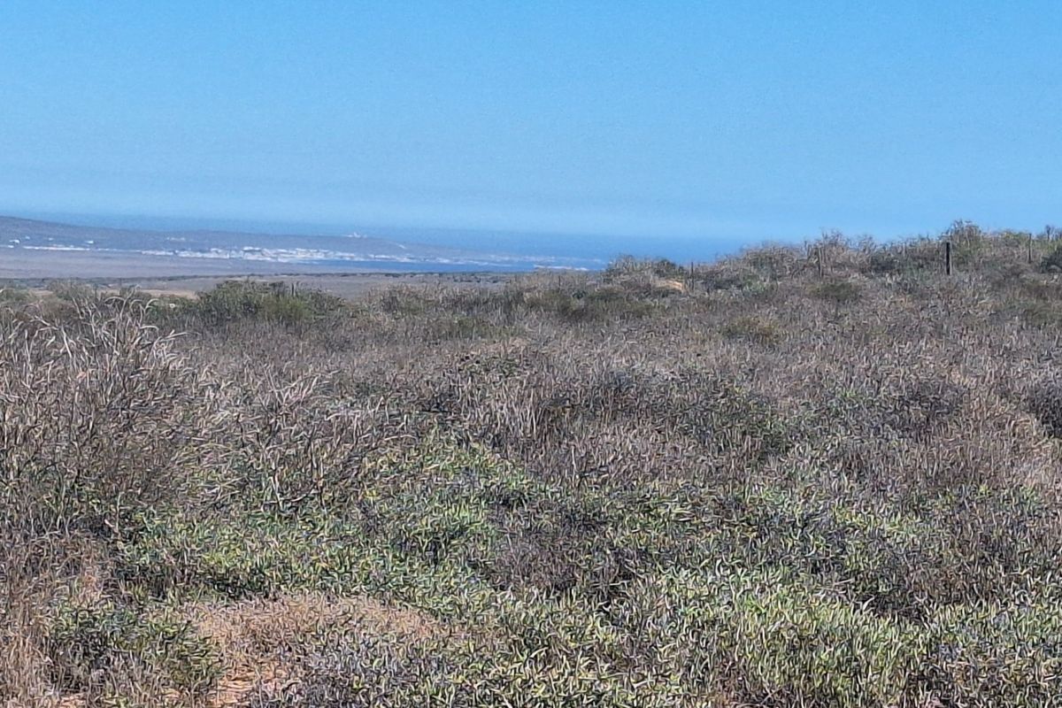 Vacant land 13 031 sqm for sale Britannica Heights – St Helena Bay - Photo 2