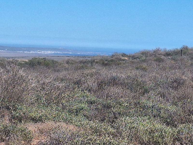 Vacant land 13 031 sqm for sale Britannica Heights – St Helena Bay - Photo 2