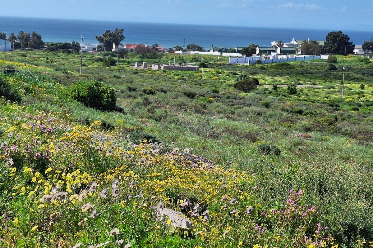 A scenic view of the coastal landscape featuring natural vegetation and distant ocean views, showcasing the property's surroundings.