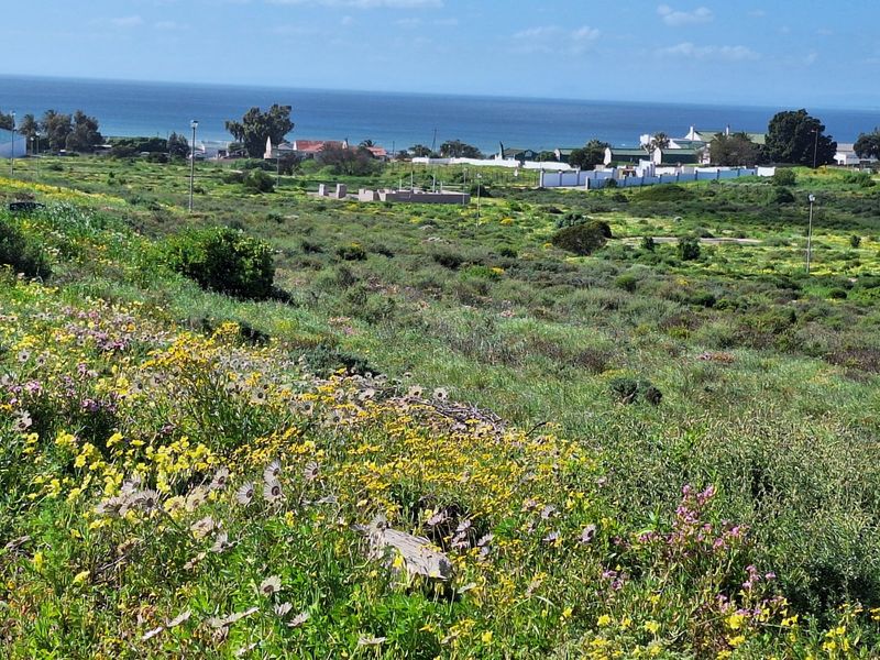 A scenic view of the coastal landscape featuring natural vegetation and distant ocean views, showcasing the property's surroundings.