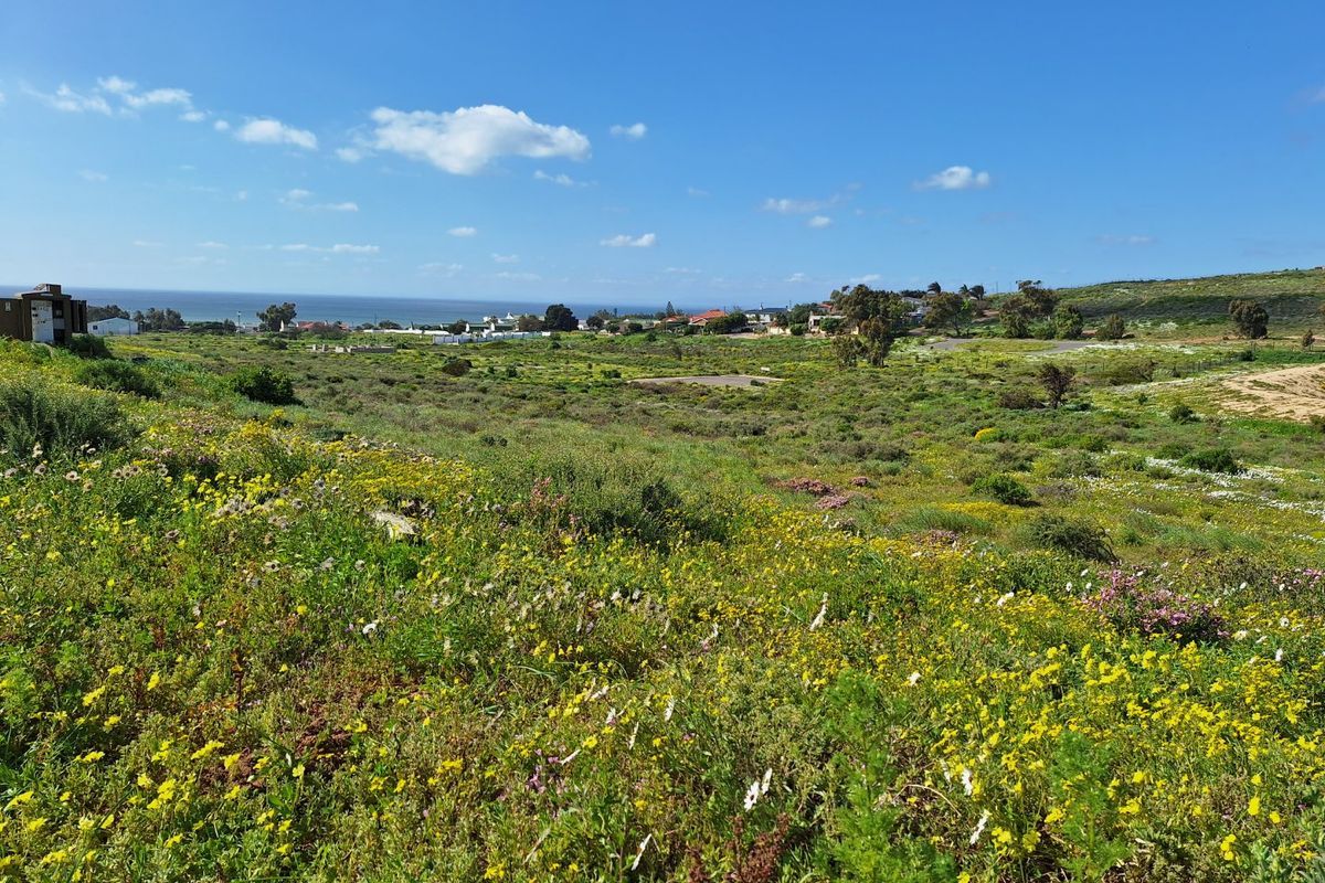 A scenic view of the vacant residential land featuring natural vegetation, wildflowers, and distant coastal landscape.