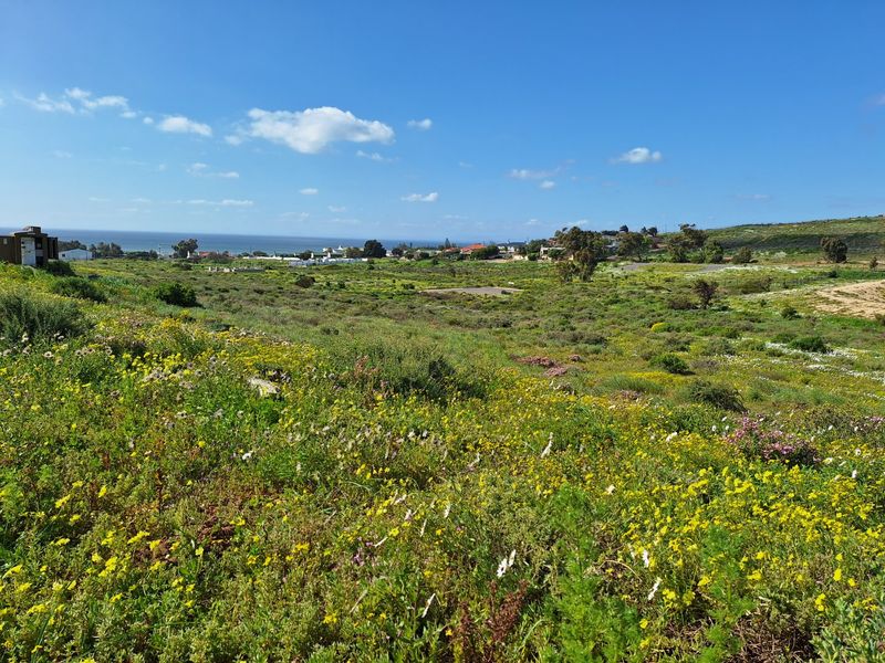 A scenic view of the vacant residential land featuring natural vegetation, wildflowers, and distant coastal landscape.