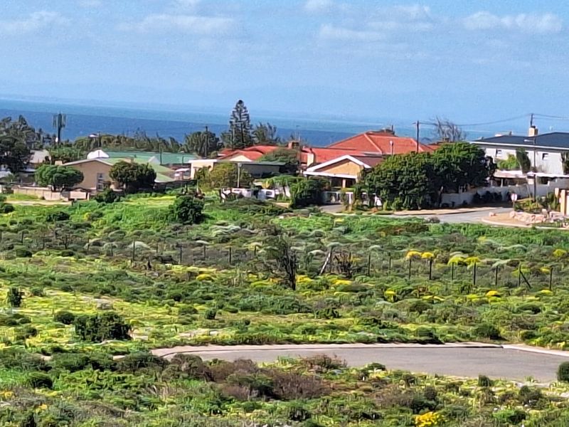 A wide-angle view of a vacant residential plot featuring natural coastal vegetation with surrounding neighborhood homes and distant ocean views.