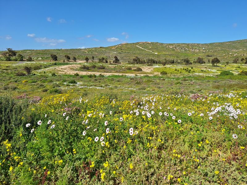A scenic view of a vast, undeveloped residential land plot featuring natural vegetation and rolling hills under a clear blue sky.