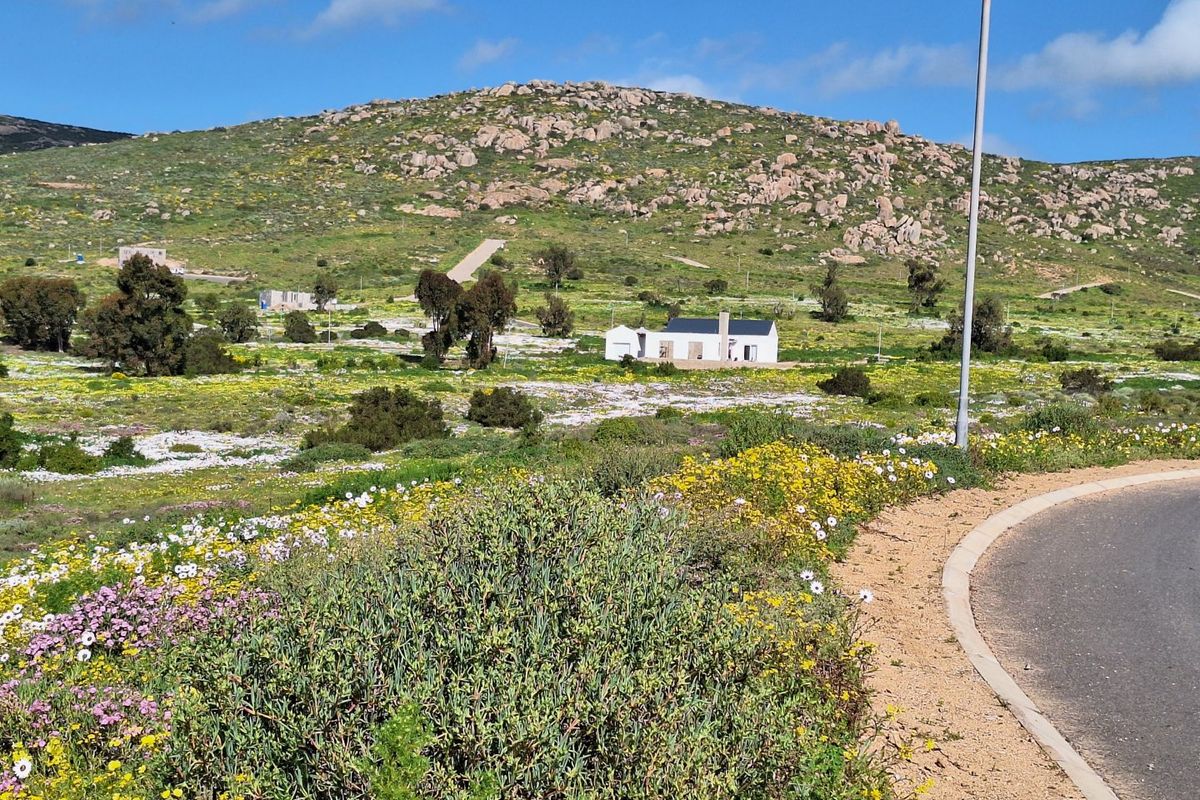 A scenic view of a residential land plot featuring natural vegetation, wildflowers, and a distant building, viewed from an adjacent paved road.