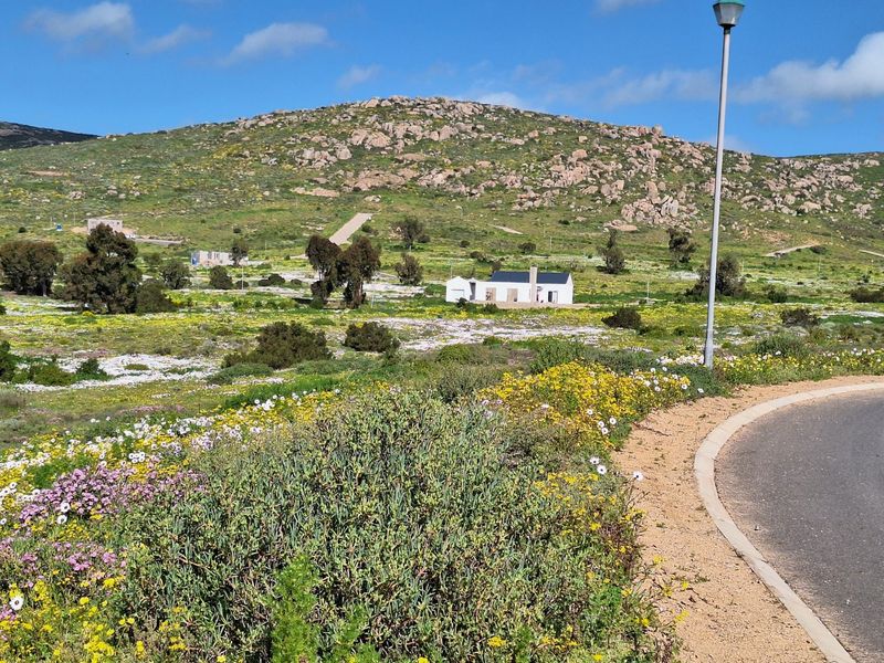 A scenic view of a residential land plot featuring natural vegetation, wildflowers, and a distant building, viewed from an adjacent paved road.