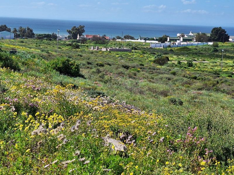A scenic view of the coastal landscape and surrounding residential area, showcasing the natural vegetation and open space of the vacant land.