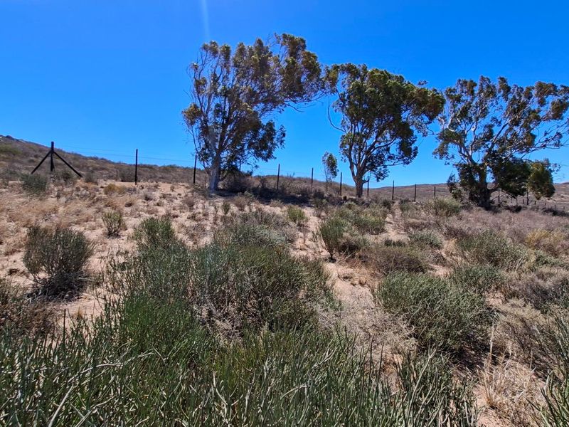 Vacant land St Helena Views - St Helena Bay - Photo 10