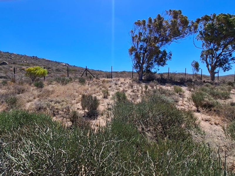 Vacant land St Helena Views - St Helena Bay - Photo 9