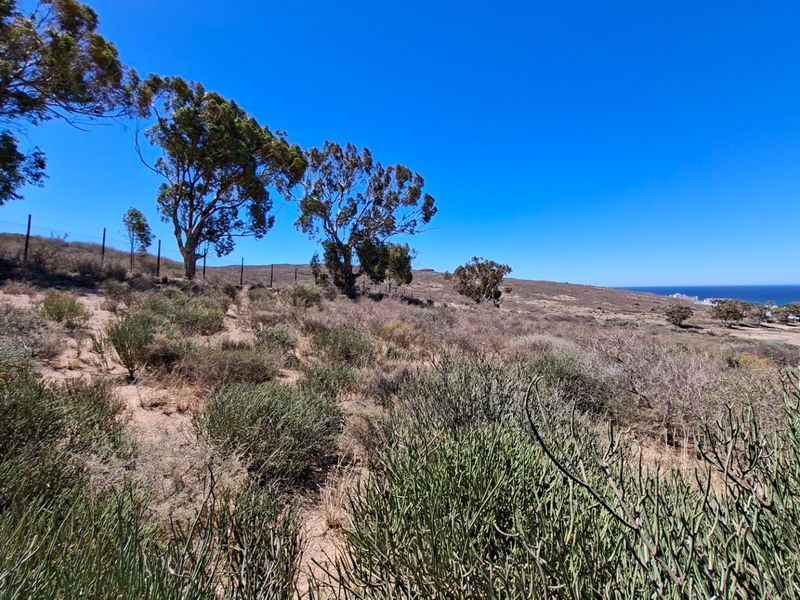 Vacant land St Helena Views - St Helena Bay - Photo 7