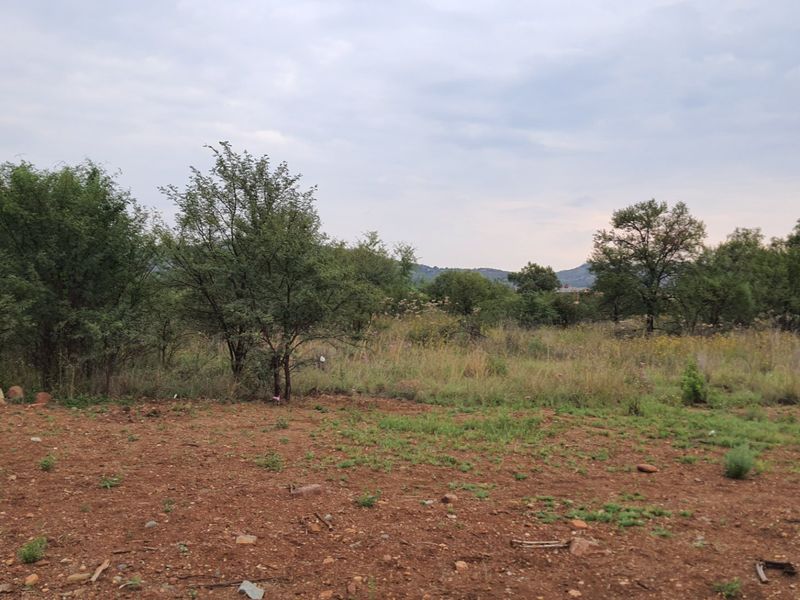 Exclusive La Camargue Plot in Hartbeespoort Wildlife Estate - Photo 5