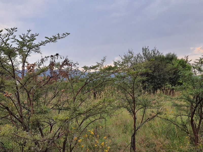 Exclusive La Camargue Plot in Hartbeespoort Wildlife Estate - Photo 7