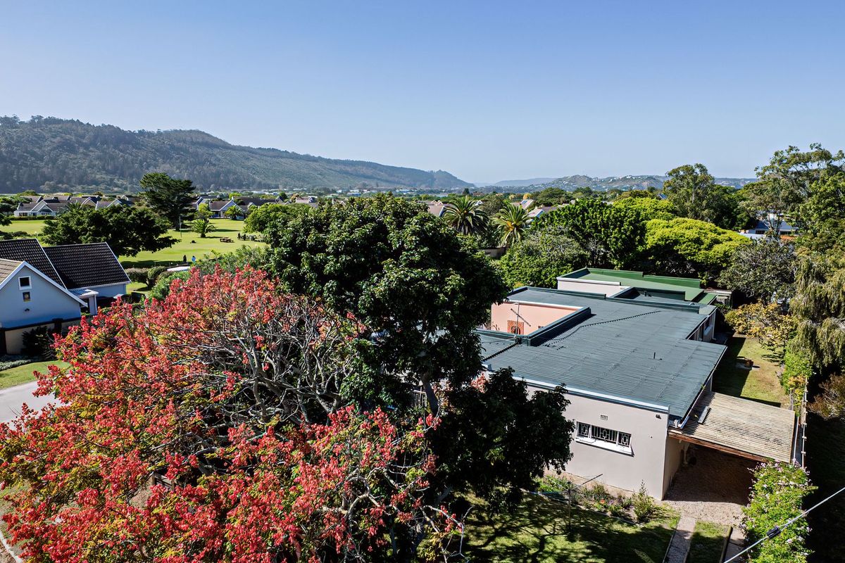 Multi-Purpose Income-Generating Property  - Photo 2