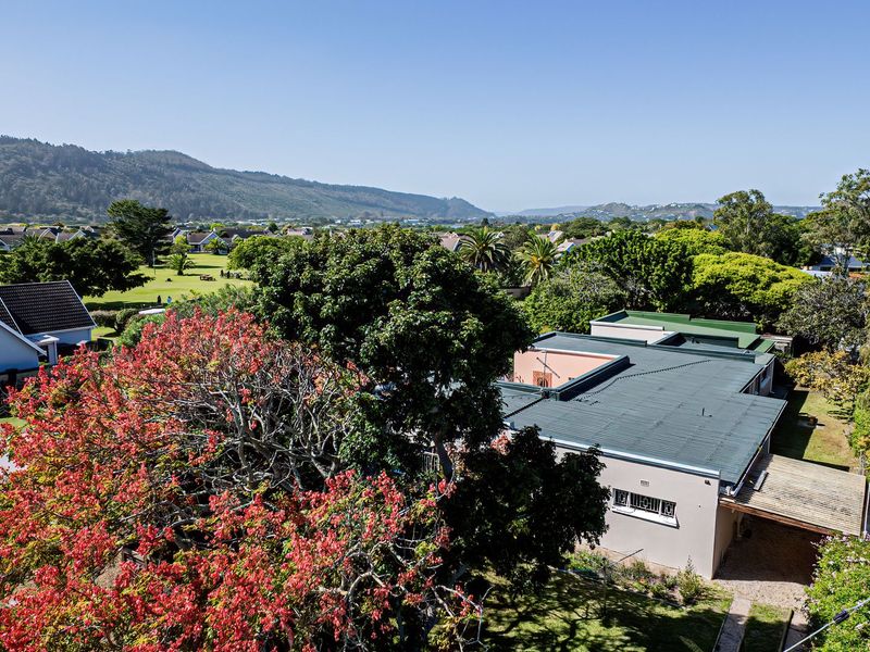 Multi-Purpose Income-Generating Property  - Photo 2