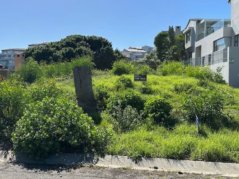 A vacant residential plot of land featuring natural vegetation and a street-level kerb, situated in a developed neighbourhood.