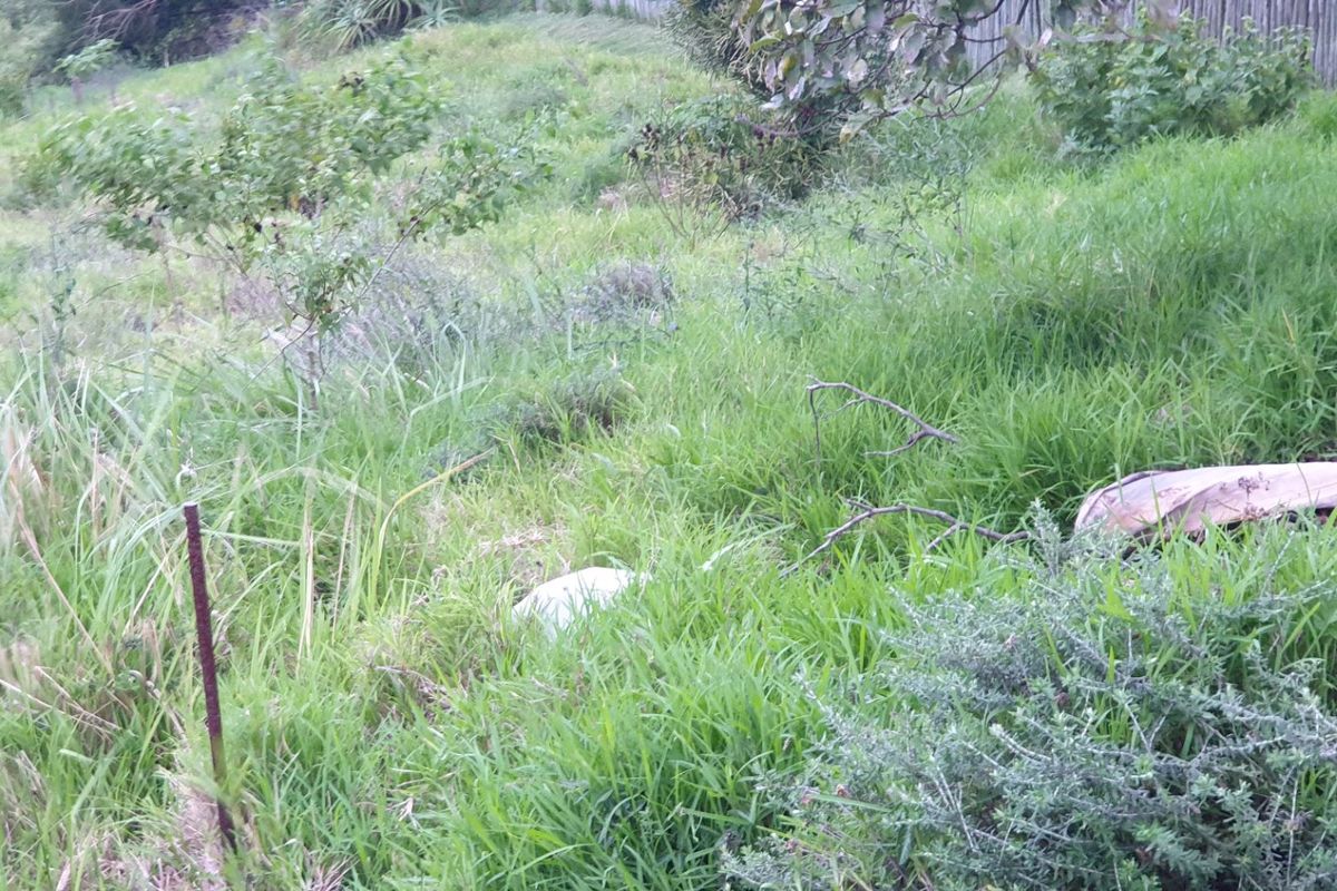 Vacant Land for sale in palm lakes  - Photo 2