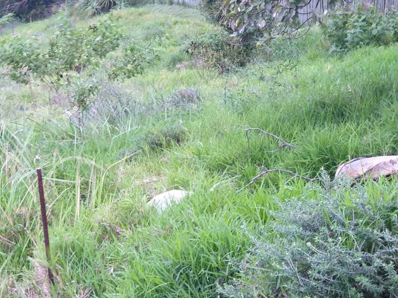 Vacant Land for sale in palm lakes  - Photo 2