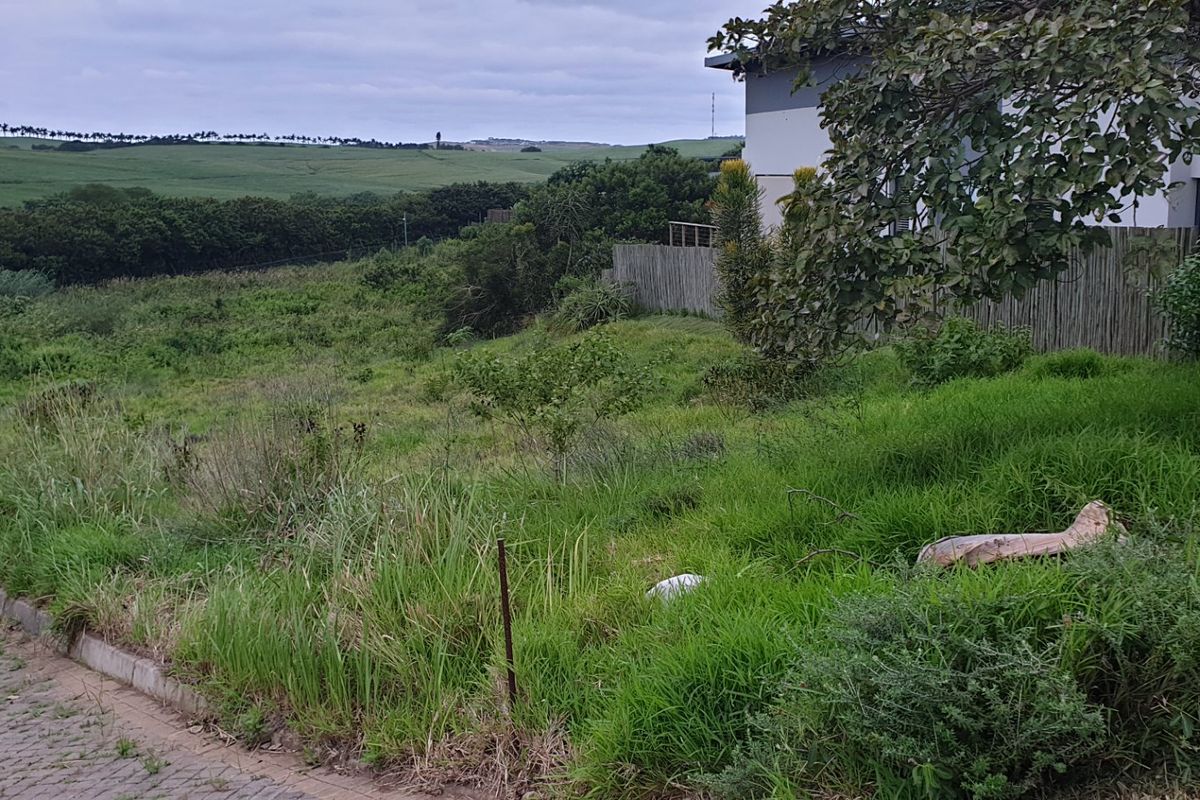 Vacant Land for sale in palm lakes  - Photo 3