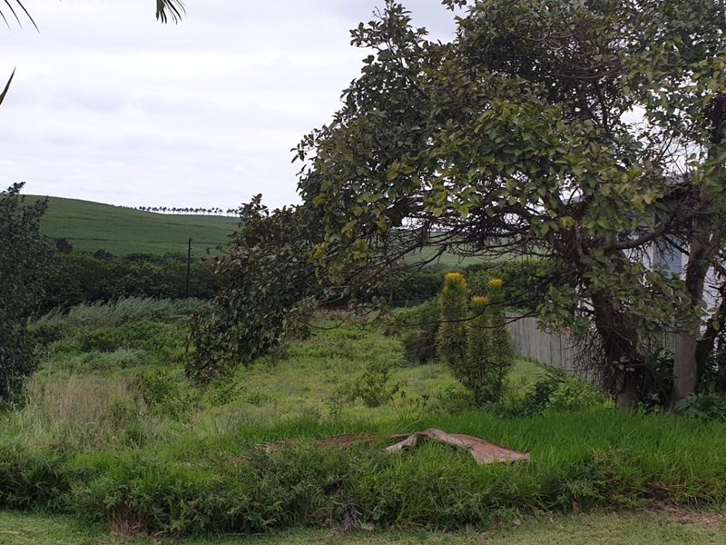 Vacant Land for sale in palm lakes  - Photo 4