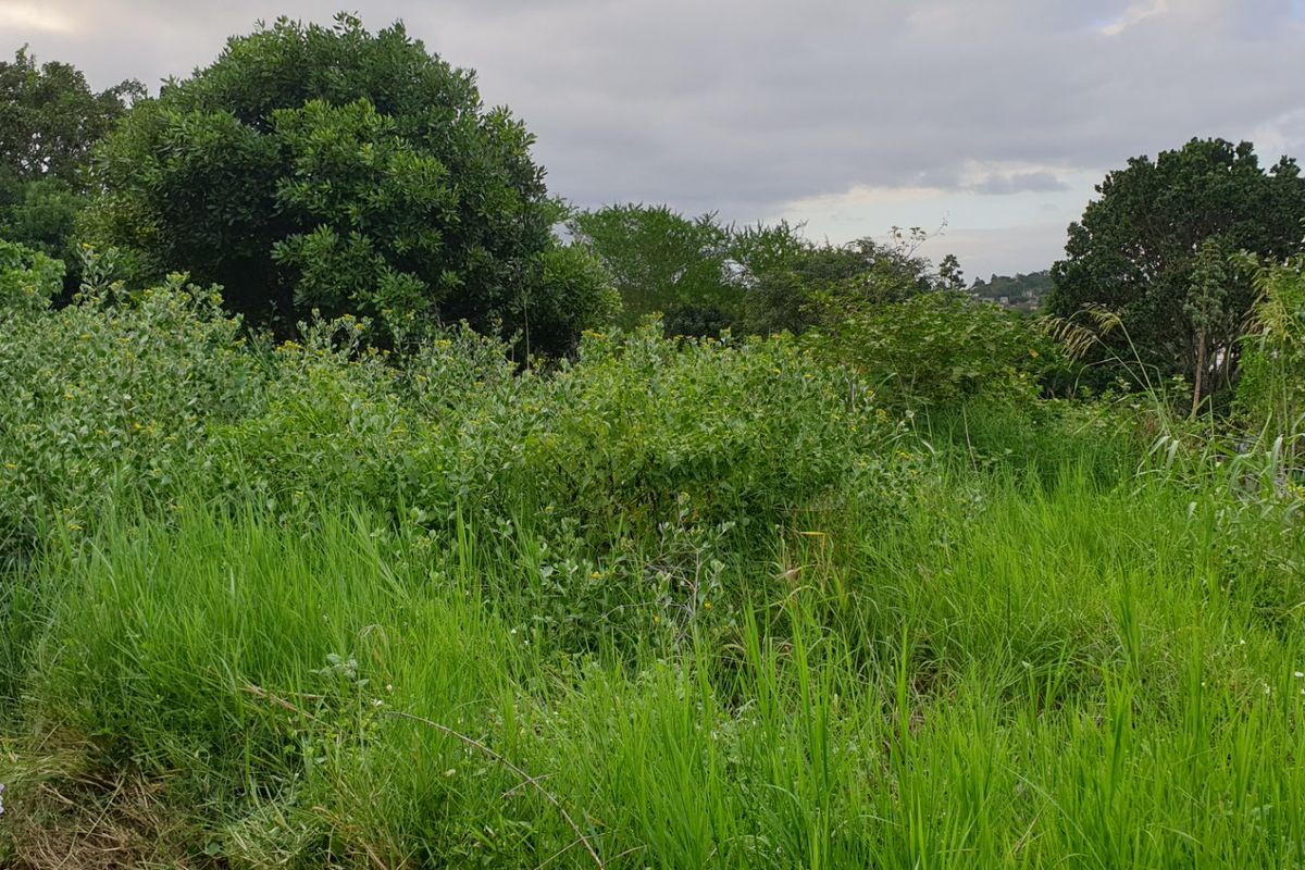 Vacant Land for sale in palm lakes  - Photo 3