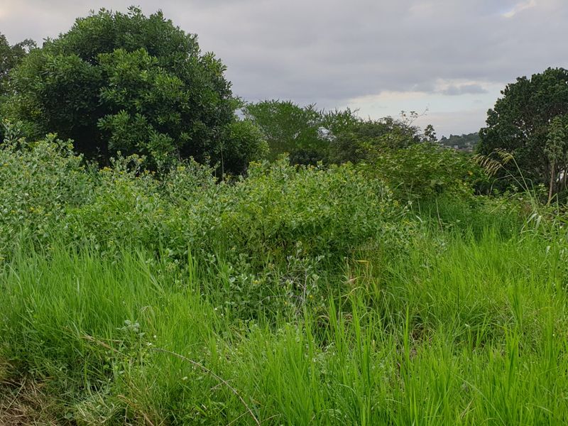 Vacant Land for sale in palm lakes  - Photo 3