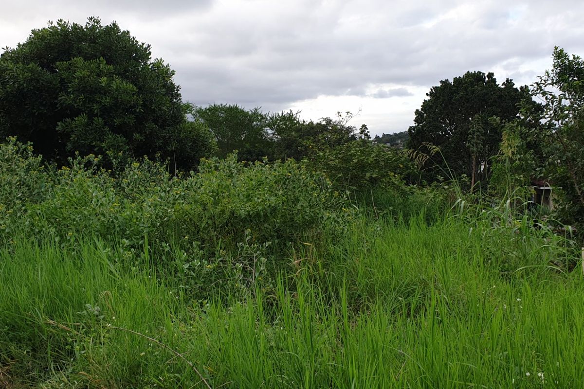 Vacant Land for sale in palm lakes  - Photo 4