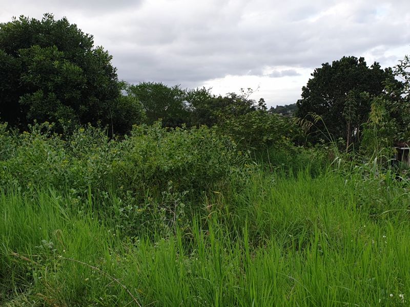 Vacant Land for sale in palm lakes  - Photo 4