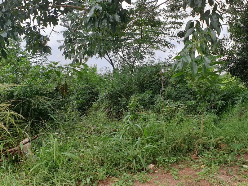 Vacant Land for sale in palm lakes  - Photo 9