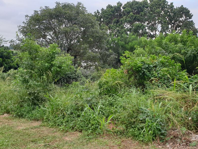 Vacant Land for sale in palm lakes  - Photo 8