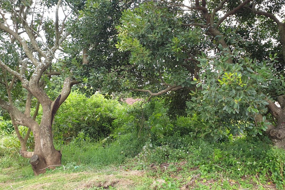 Vacant Land for sale in palm lakes  - Photo 5