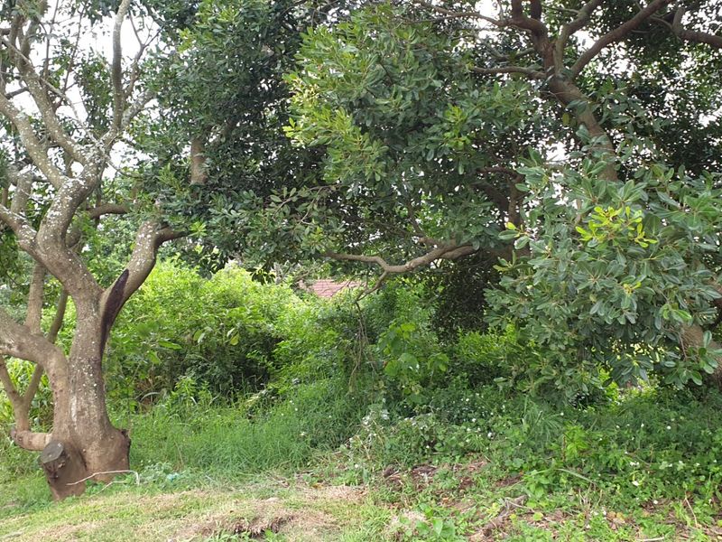 Vacant Land for sale in palm lakes  - Photo 5