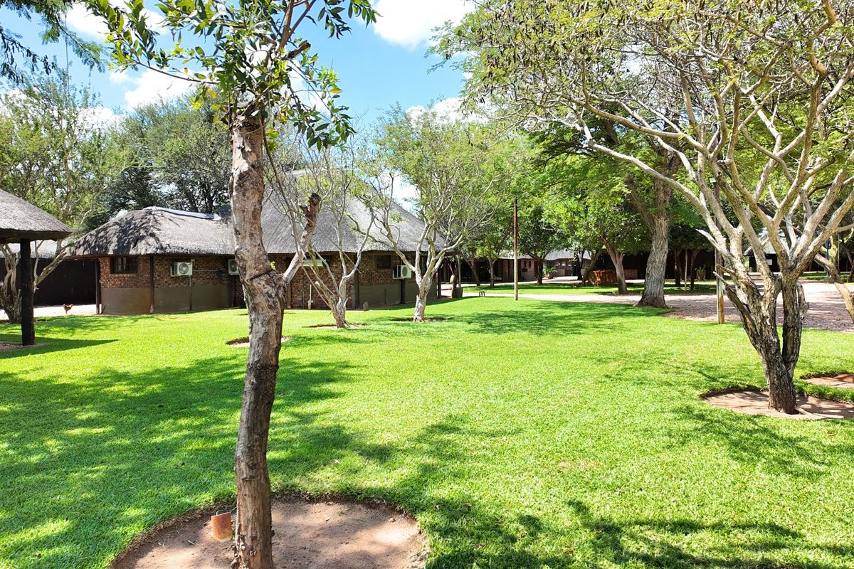 FIVE STAR Luxury Lifestyle Game farm Ellisras  - Photo 3