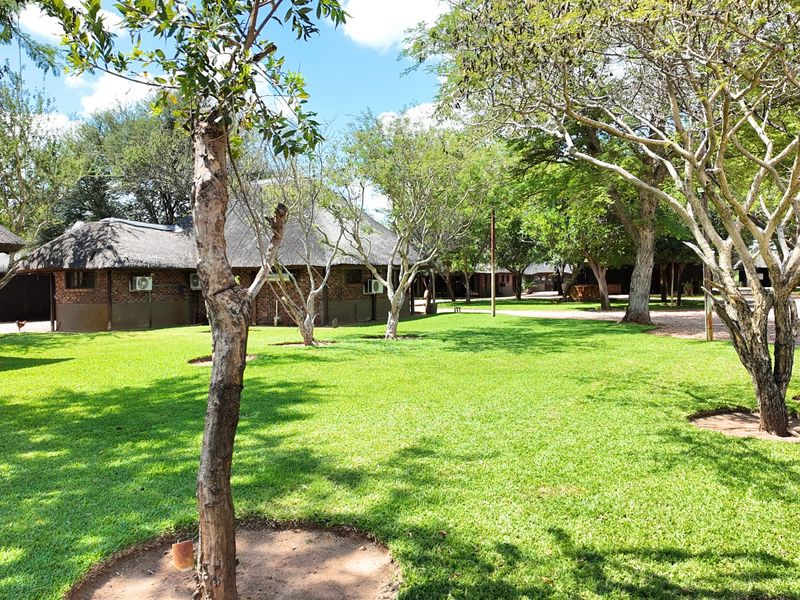 FIVE STAR Luxury Lifestyle Game farm Ellisras  - Photo 3