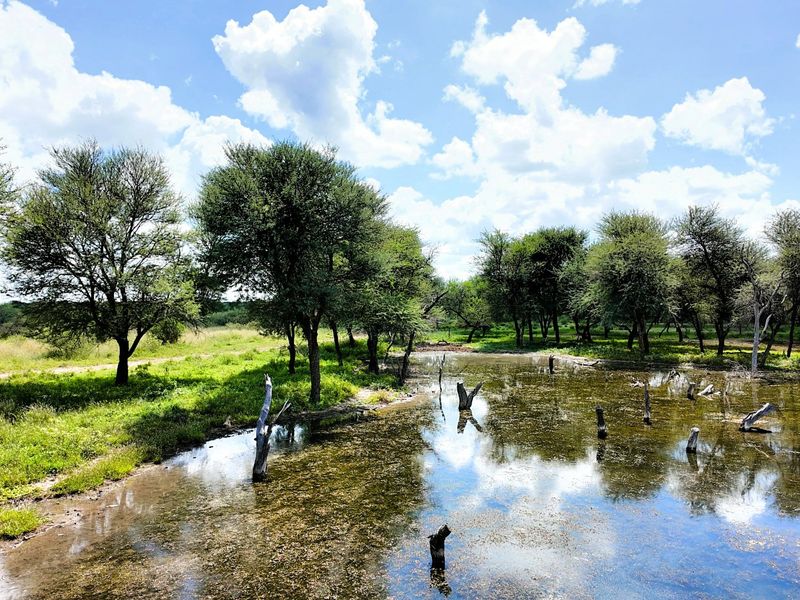 FIVE STAR Luxury Lifestyle Game farm Ellisras  - Photo 5