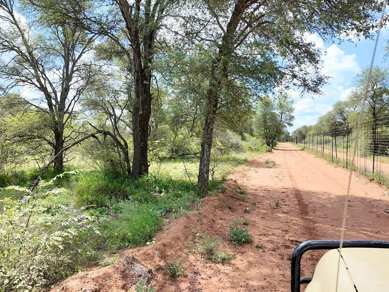 FIVE STAR Luxury Lifestyle Game farm Ellisras  - Photo 9