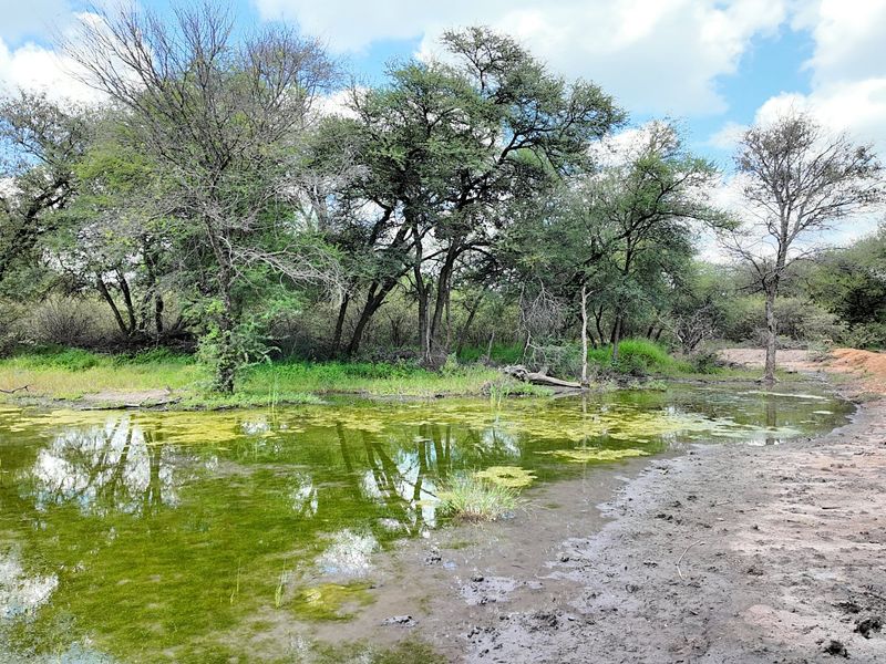 FIVE STAR Luxury Lifestyle Game farm Ellisras  - Photo 8