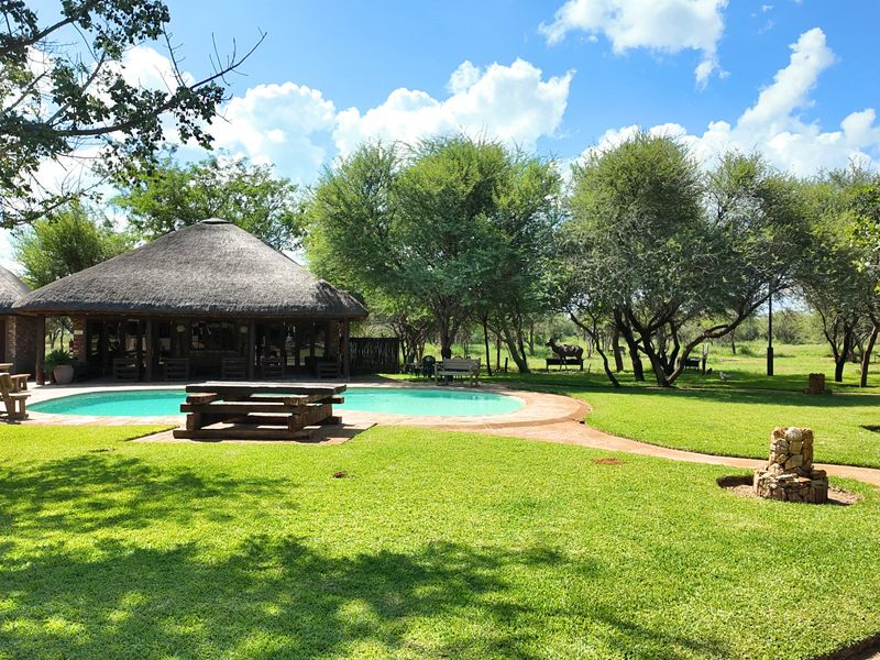 FIVE STAR Luxury Lifestyle Game farm Ellisras  - Photo 7