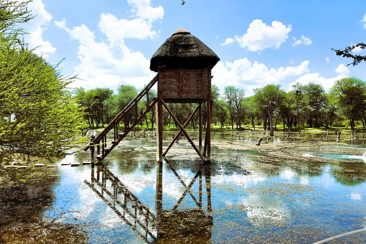 FIVE STAR Luxury Lifestyle Game farm Ellisras  - Photo 4