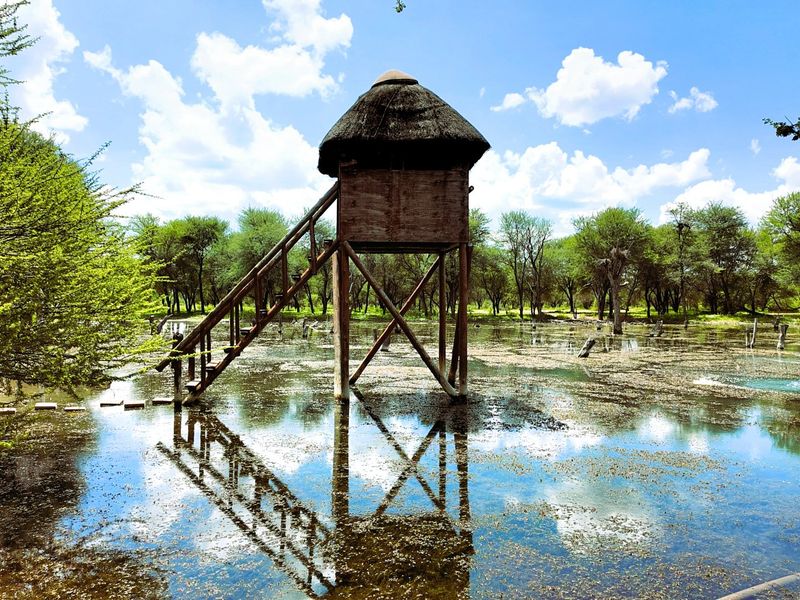 FIVE STAR Luxury Lifestyle Game farm Ellisras  - Photo 4