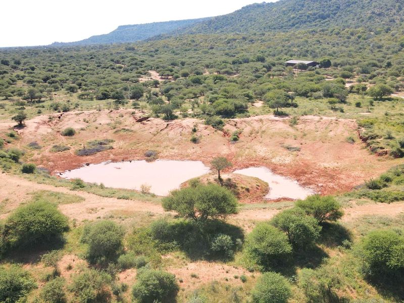 294 ha Game Farm Ellisras with 5 bedrooms and swimming pool - Photo 6