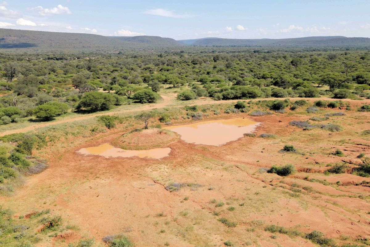 294 ha Game Farm Ellisras with 5 bedrooms and swimming pool - Photo 5