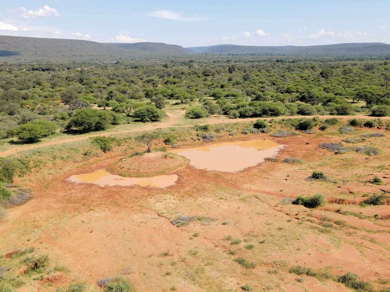 294 ha Game Farm Ellisras with 5 bedrooms and swimming pool - Photo 5