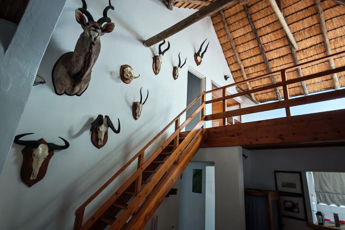 Spacious living area featuring a high-pitched exposed thatch roof, timber mezzanine level, and a wooden staircase, creating a rustic farm-style atmosphere.