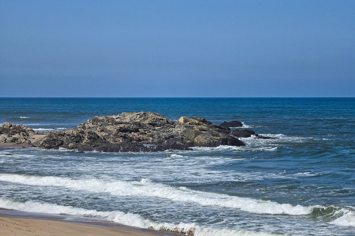 Spacious Home Within Walking Distace To The Beach Plus A Flatlet - Photo 2