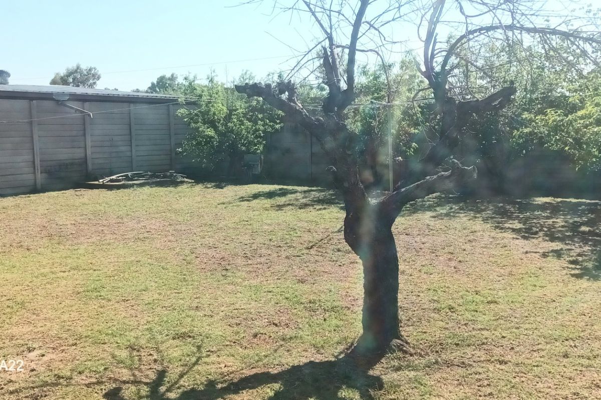 LOOKING FOR THE PERFECT HOME LITTLE TLC - Photo 4